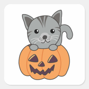 Adesivo Quadrado Gato Na Pumpkin Gatos Doce Feliz Praça de Hallowee