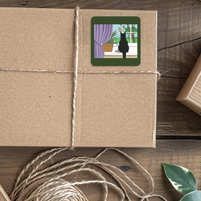 Adesivo Quadrado Gato Negro Olhando Para A Janela (Criador carregado)