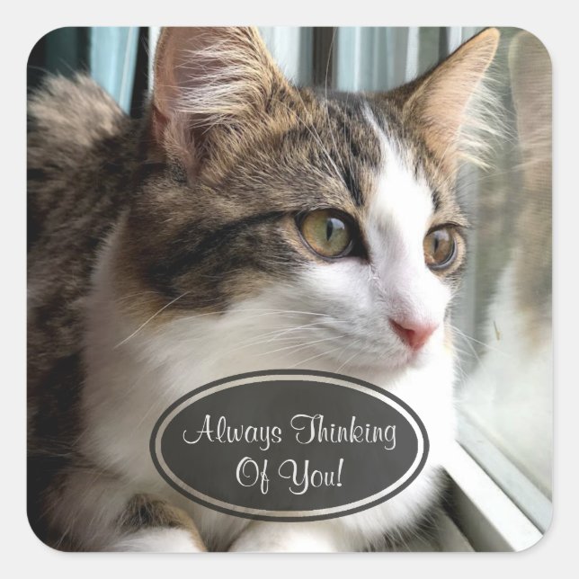 Adesivo Quadrado Gato Pensando Em Vocês Viciados (Frente)