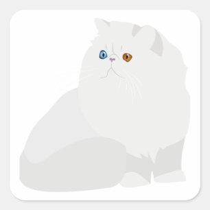 Adesivo Quadrado gato persa branco