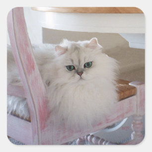 Adesivo Quadrado Gato Persa Branco em uma Cadeira Rosa