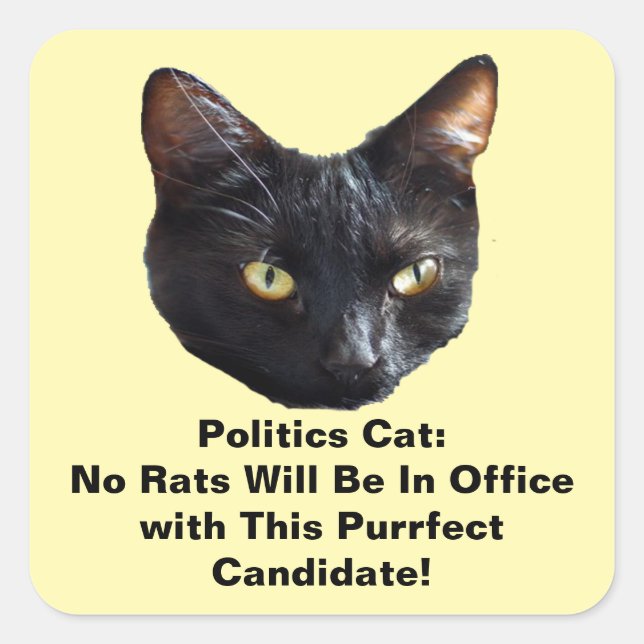 Adesivo Quadrado Gato Político Não Ratos Estarão No Office Sticker (Frente)