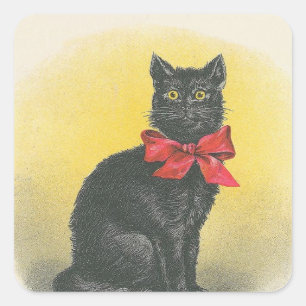 Adesivo Quadrado Gato preto