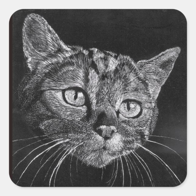 Adesivo Quadrado Gato Rosto Meu Desenho segundo grau (Frente)