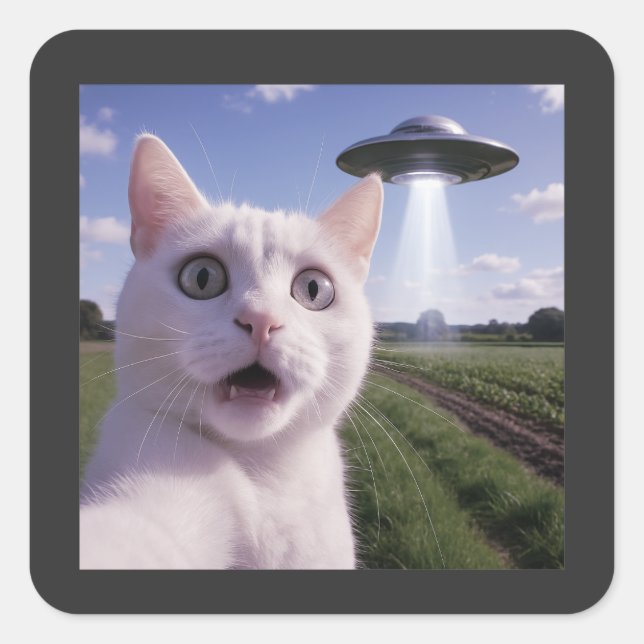 Adesivo Quadrado Gato Selfie Com Disco Voador Alien (Frente)