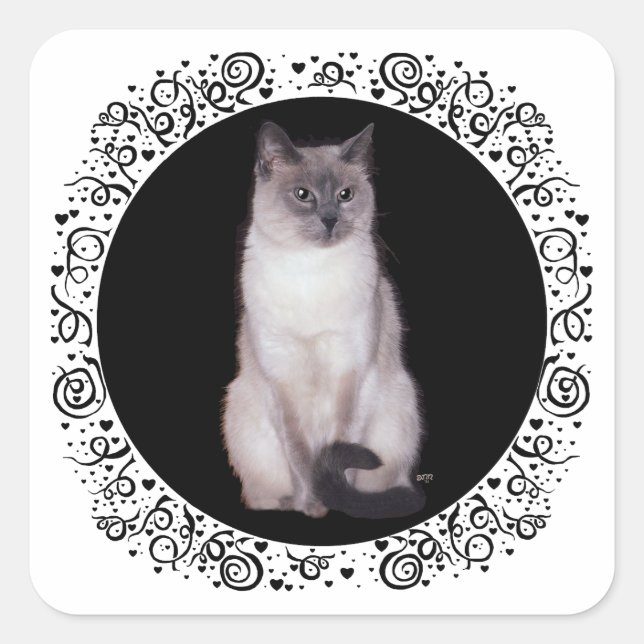 Adesivo Quadrado Gato Siames (Frente)