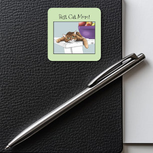 Adesivo Quadrado Gato Tabby Laranja dia de as mães