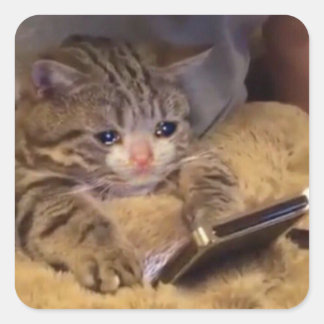 Adesivo Quadrado gato triste ao telefone