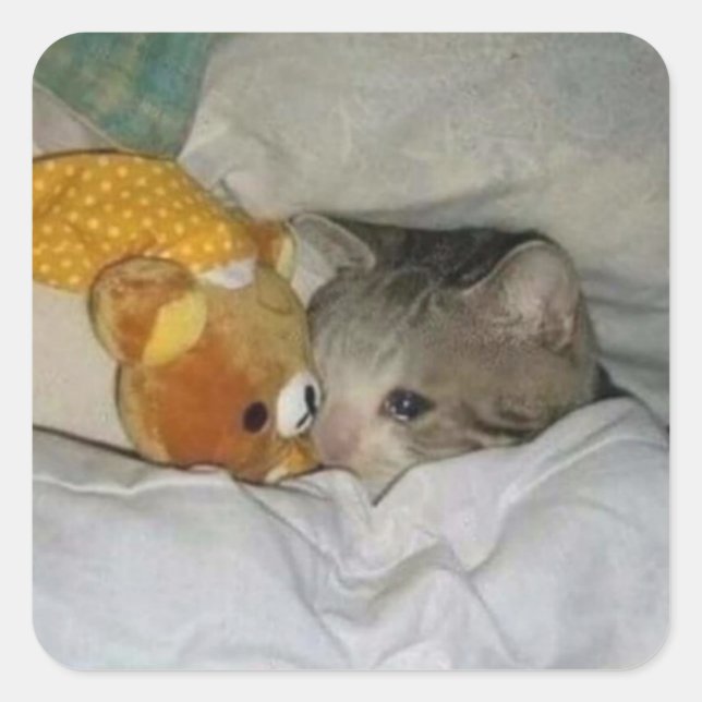 Adesivo Quadrado gato triste na cama (Frente)