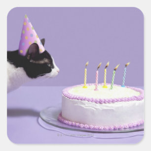 Adesivo Quadrado Gato vestindo chapéu de aniversário soprando velas