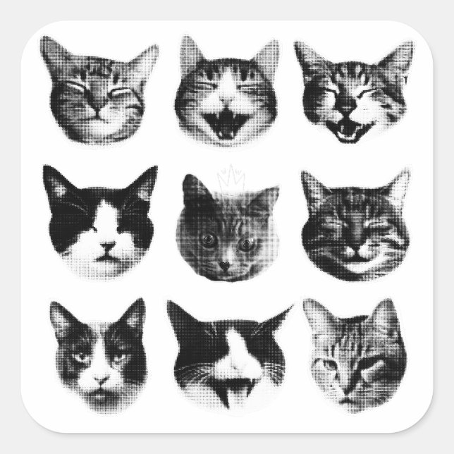 Adesivo Quadrado Gatos (Frente)
