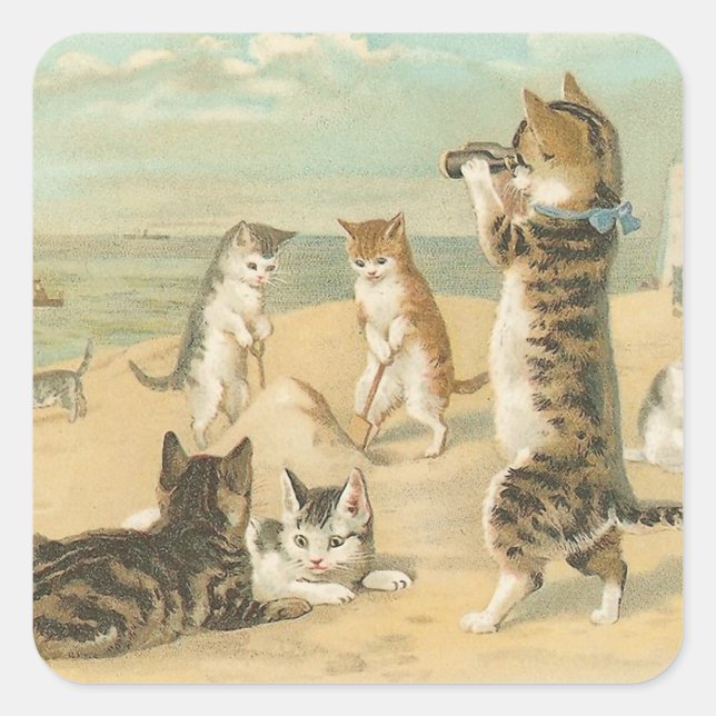 Adesivo Quadrado "Gatos na praia" (Frente)