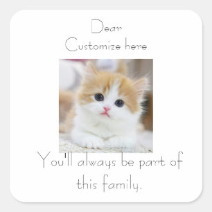 Adesivo Quadrado gatos, parte da família, mãe de gatos bonitinhos