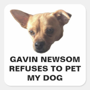 Adesivo Quadrado Gavin Newsom Se Recusa A Pet My Dog