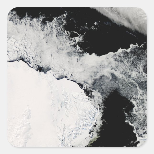 Adesivo Quadrado Gelo marinho no oceano Sul (Frente)