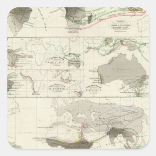 Adesivo Quadrado Geografia zoológico