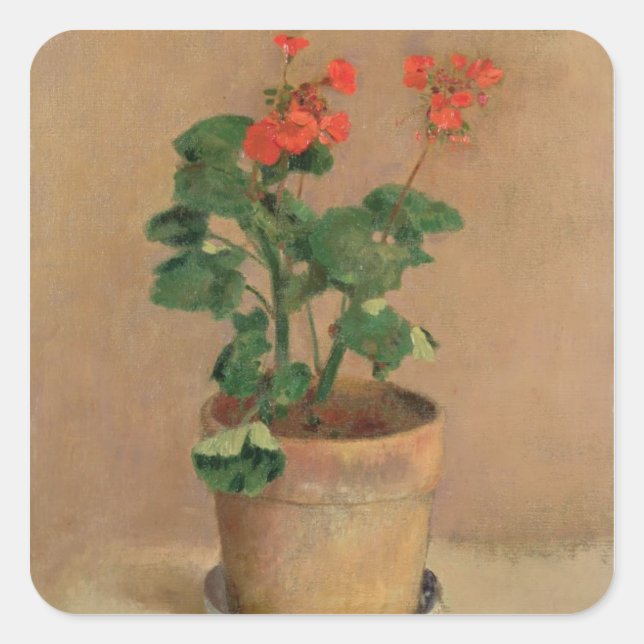 Adesivo Quadrado Geraniums in a Pote, c.1905 (oil on canvas) (Frente)