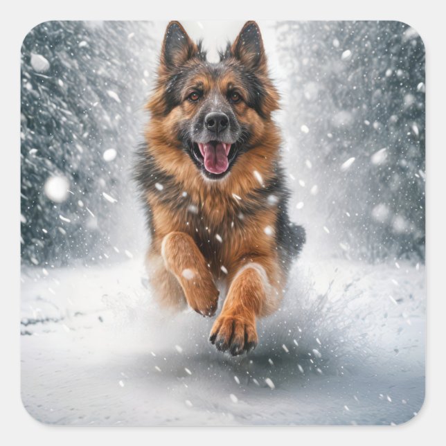 Adesivo Quadrado German shepherd Em Neve (Frente)