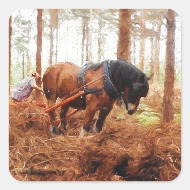 Adesivo Quadrado Giant Gentil - Rascunho dos Registros de Cavalo na (Frente)