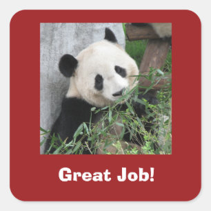 Adesivo Quadrado Giant Panda, Professora, Excelente Job!