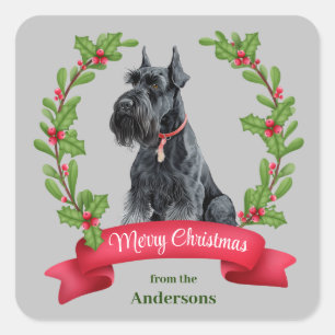Adesivo Quadrado Giant Schnauzer Dog Holly Banner Natal