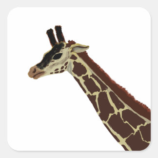 Adesivo Quadrado Girafa