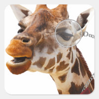 Girafa engraçada com Bowtie e Monocle