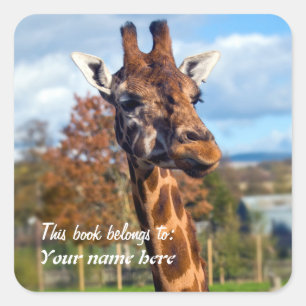Adesivo Quadrado Giraffe "Este livro pertence a" Sticker