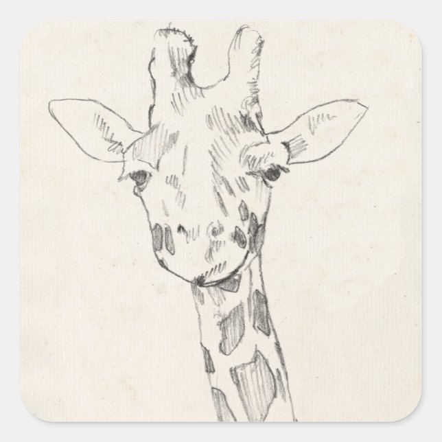 Adesivo Quadrado Giraffe Portrait | Esboço (Frente)
