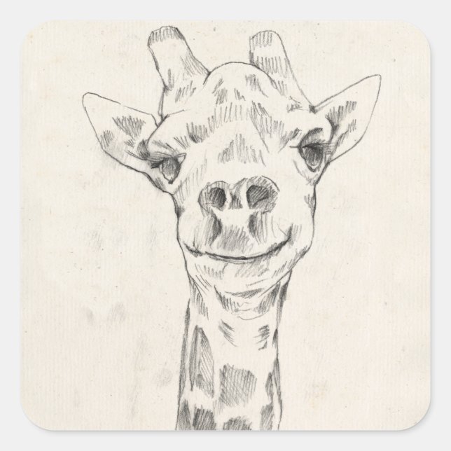 Adesivo Quadrado Giraffe Portrait Sketch (Frente)