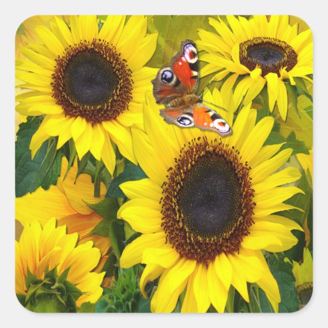 Adesivo Quadrado Girassol (Frente)