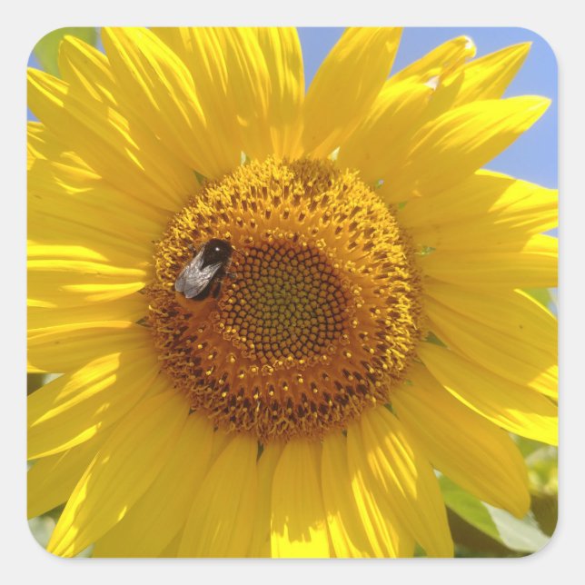 Adesivo Quadrado Girassol Amarelo (Frente)