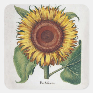 Adesivo Quadrado Girassol Vintage Damask Flower Art