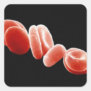 Adesivo Quadrado Glóbulos vermelhos