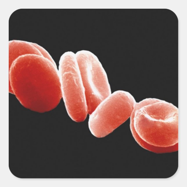 Adesivo Quadrado Glóbulos vermelhos (Frente)