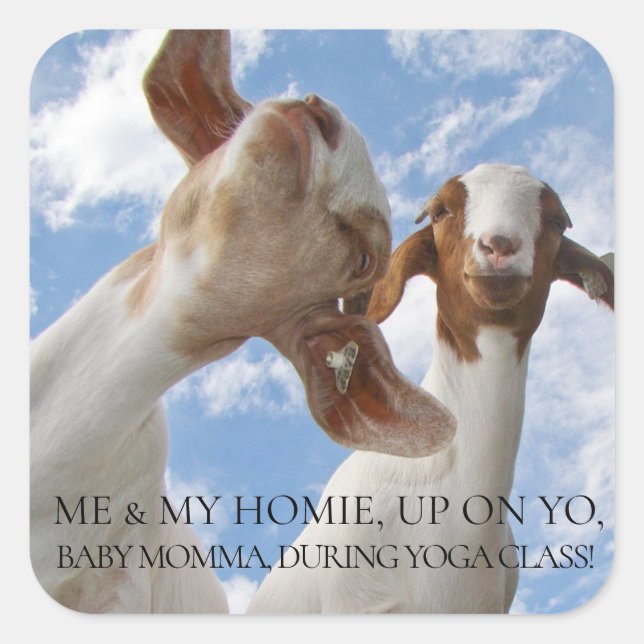 Adesivo Quadrado Goat Yoga Wise Cracks (Frente)