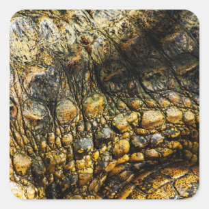 Adesivo Quadrado Golden Crocodile Skin Texture Close Up
