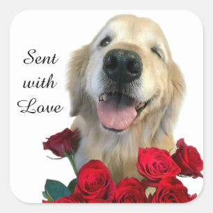 Adesivo Quadrado Golden retriever e rosas enviados com amor