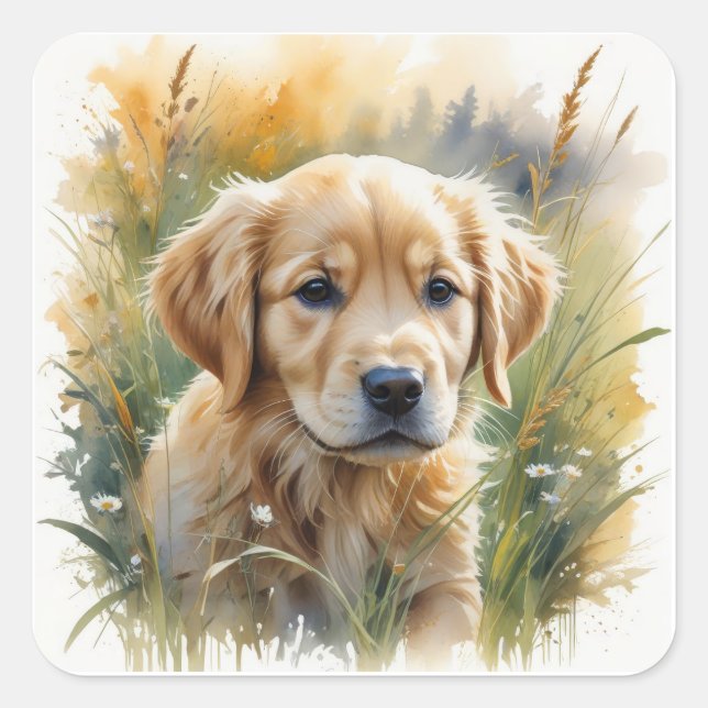 Adesivo Quadrado Golden retriever puppy at sunset (Frente)
