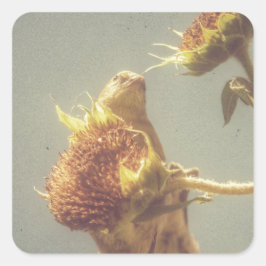 Adesivo Quadrado Goldfinch