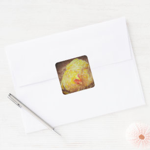 Adesivo Quadrado Goldie the Chicken Stickers