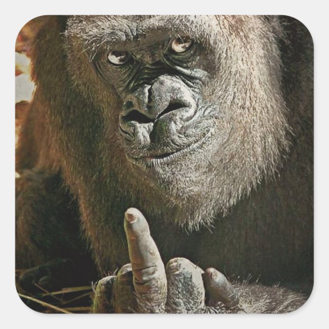 Adesivo Quadrado Gorilla Finger (Frente)