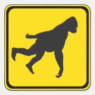 Adesivo Quadrado Gorilla Xing!