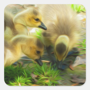 Adesivo Quadrado Gosling