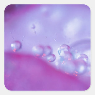 Adesivo Quadrado Gotas de orvalho em pétala de flor abstrata.