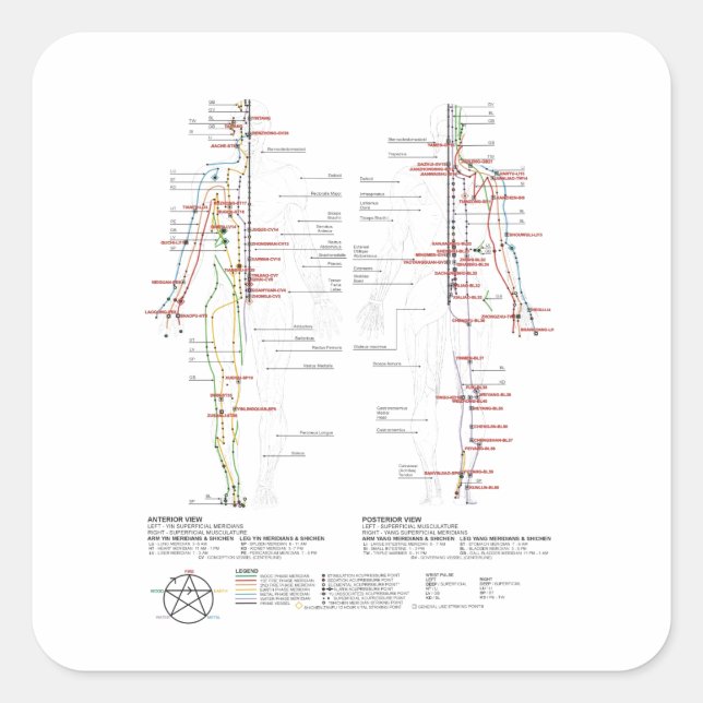 Adesivo Quadrado Gráfico de Meridianos Humanos (Frente)