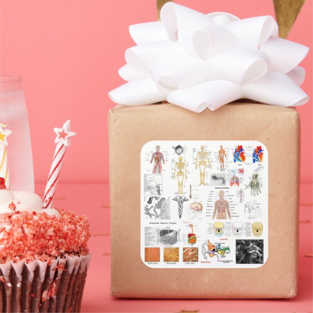 Adesivo Quadrado Gráficos de Anatomia Humana (Festa)