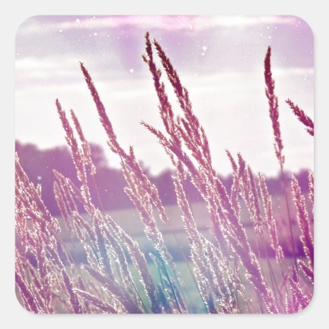 Adesivo Quadrado Grama mágica (Frente)