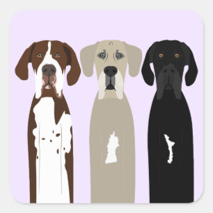 Adesivo Quadrado Grandes cães de rua