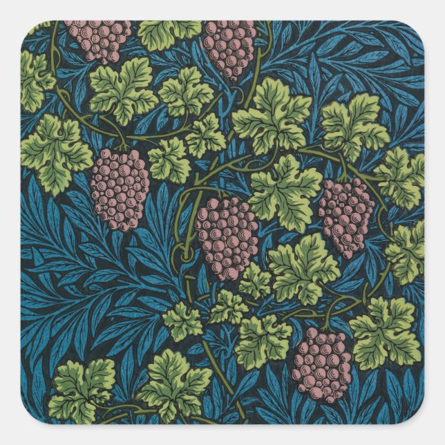 Adesivo Quadrado  Grapevines with clusters of pink grapes  (Frente)
